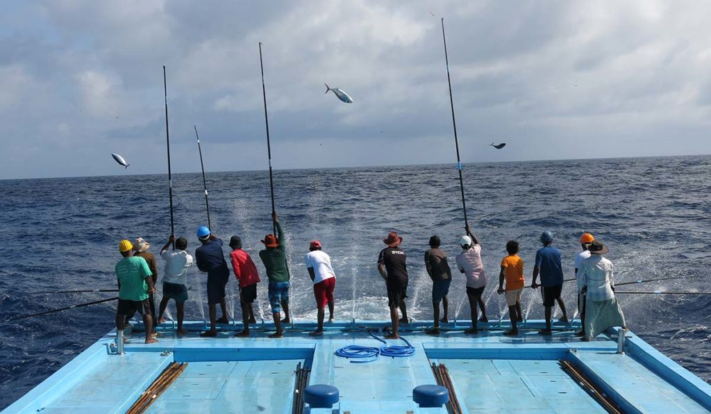 ماهیگیری در مالدیو