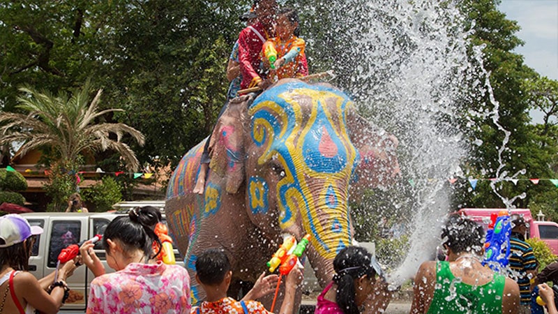 جشن آب تایلند در سامویی