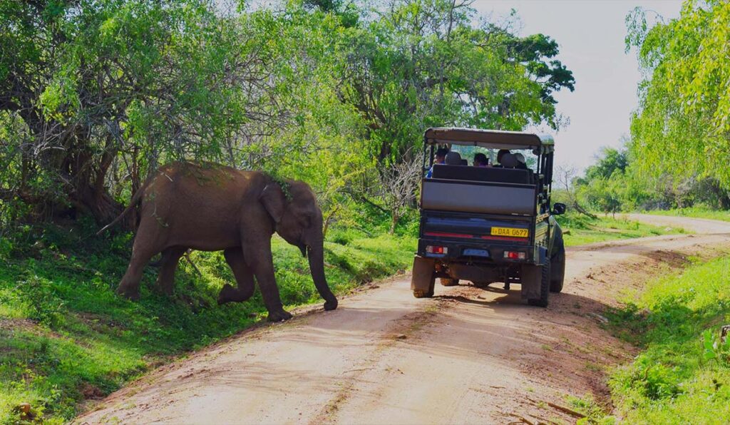 پارک‌های ملی سریلانکا