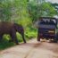 پارک‌های ملی سریلانکا