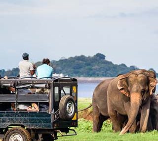جاذبه‌های گردشگری سریلانکا