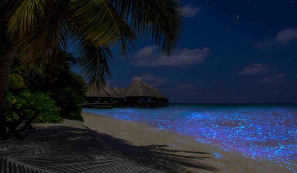 زیباترین جزایر مالدیو