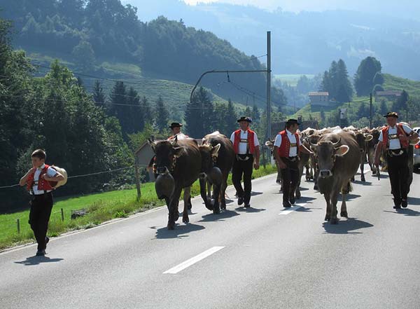 دهکده معروف سوئیس