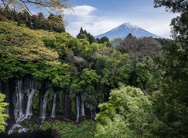 آبشار شیرایتو ژاپن در شیزوئوکا