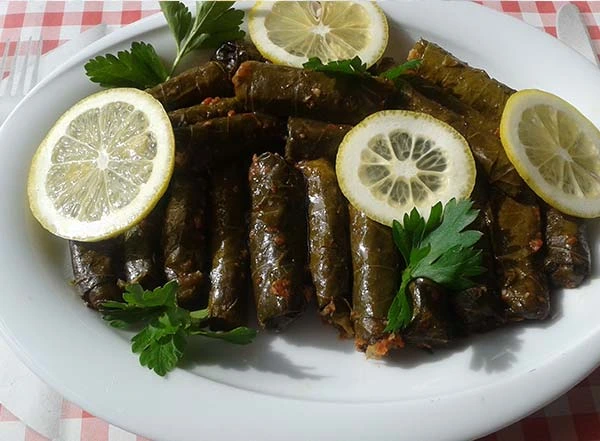 انواع و اقسام غذاهای محلی ترکیه