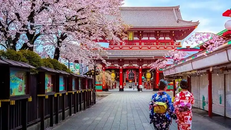 معبد سنجوگاهارا در توکیو دیدنی های ژاپن