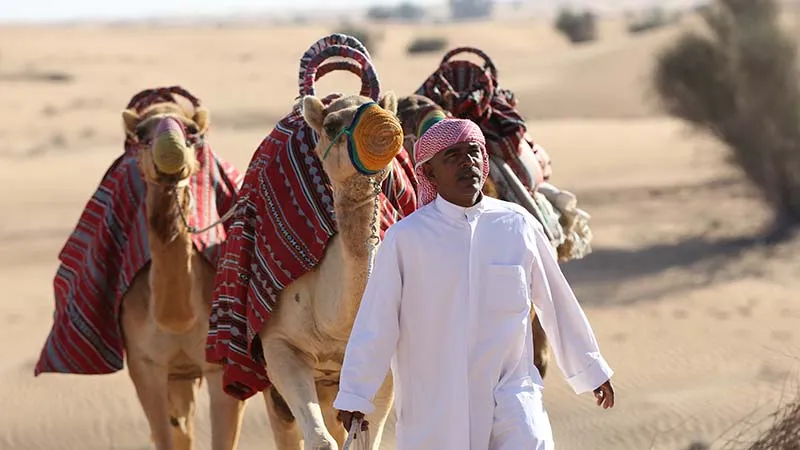 فرهنگ و سنت‌های محلی: برنامه‌های فرهنگی سافاری دبی