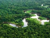 آشنایی با جنگل آمازون