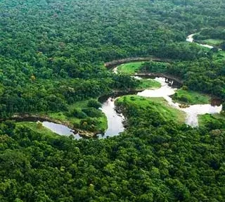 آشنایی با جنگل آمازون