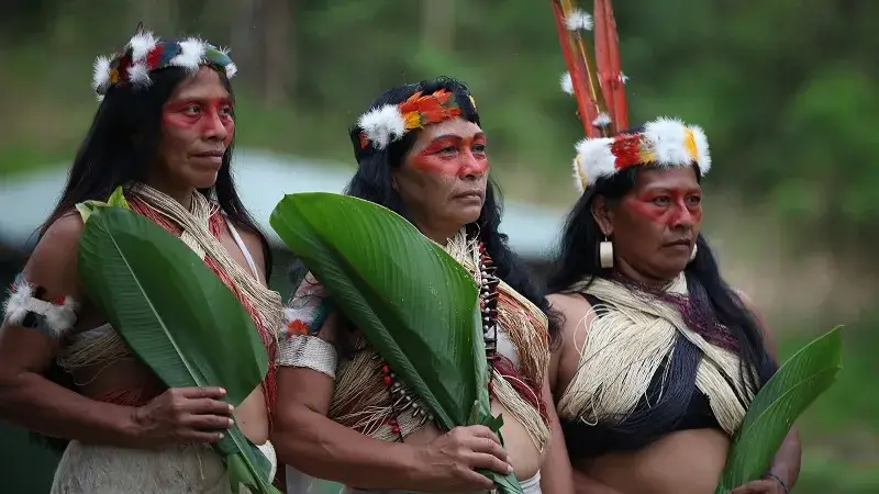 فرهنگ و جامعه ساکن در جنگل آمازون