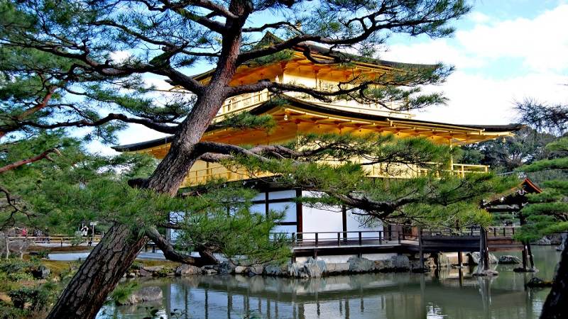 تاریخچه معبد کینکاکوجی ژاپن
