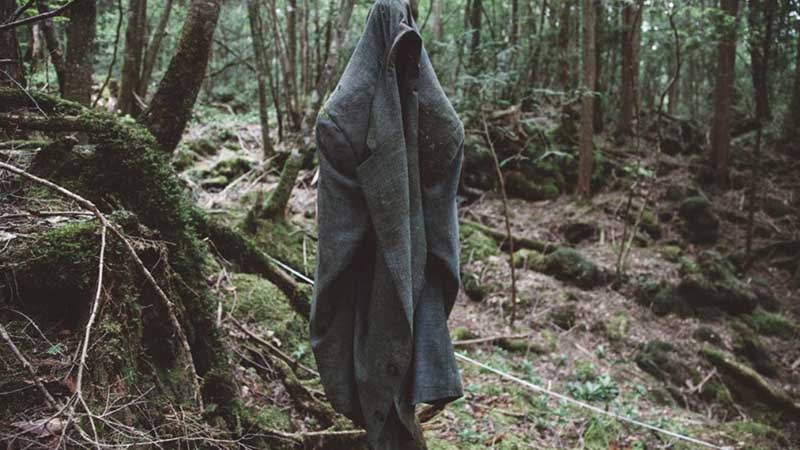 جنگل خودکشی به‌طور طبیعی ترسناک است