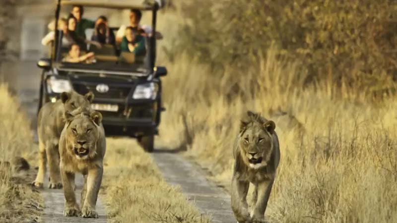 پارک کروگر (Kruger National Park)