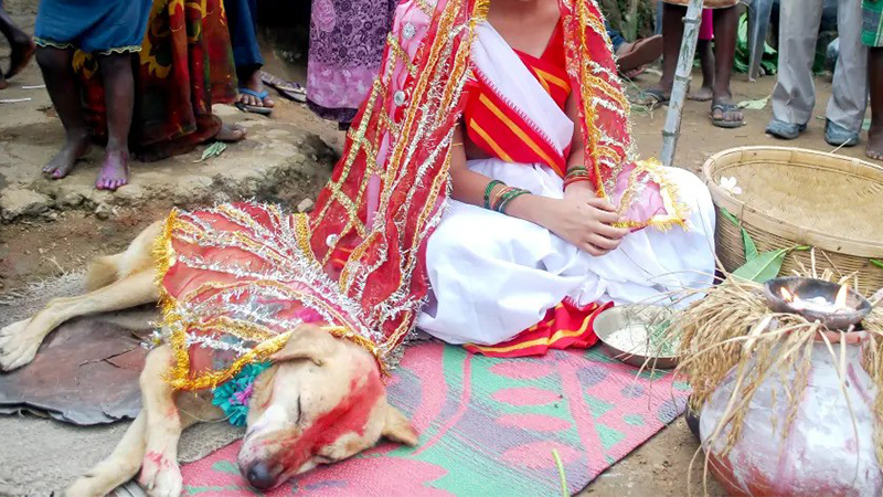 آداب و رسوم عروسی هندی‌ها / ازدواج با حیوانات در هند 