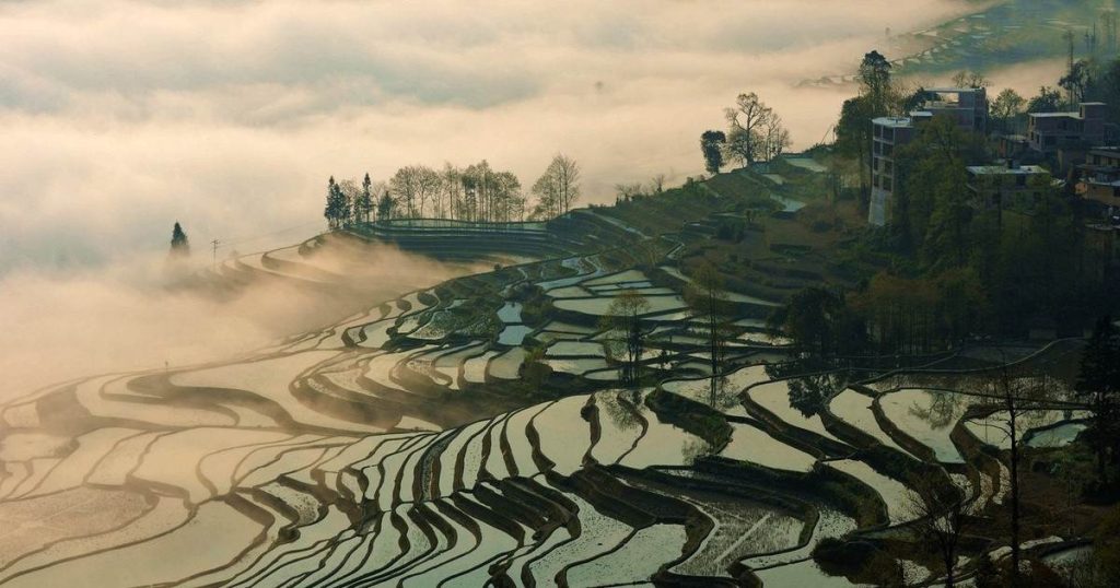 روستای شنگ‌سون (Shengcun Village) روستاهای چین