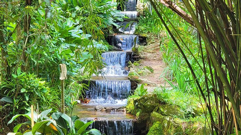 باغ گیاه شناسی ریو | Botanical Garden از جاذبه های ریو