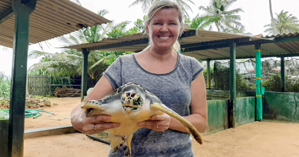 مرکز حفاظت از لاک‌پشت‌ها (Kosgoda Turtle Hatchery) سریلانکا