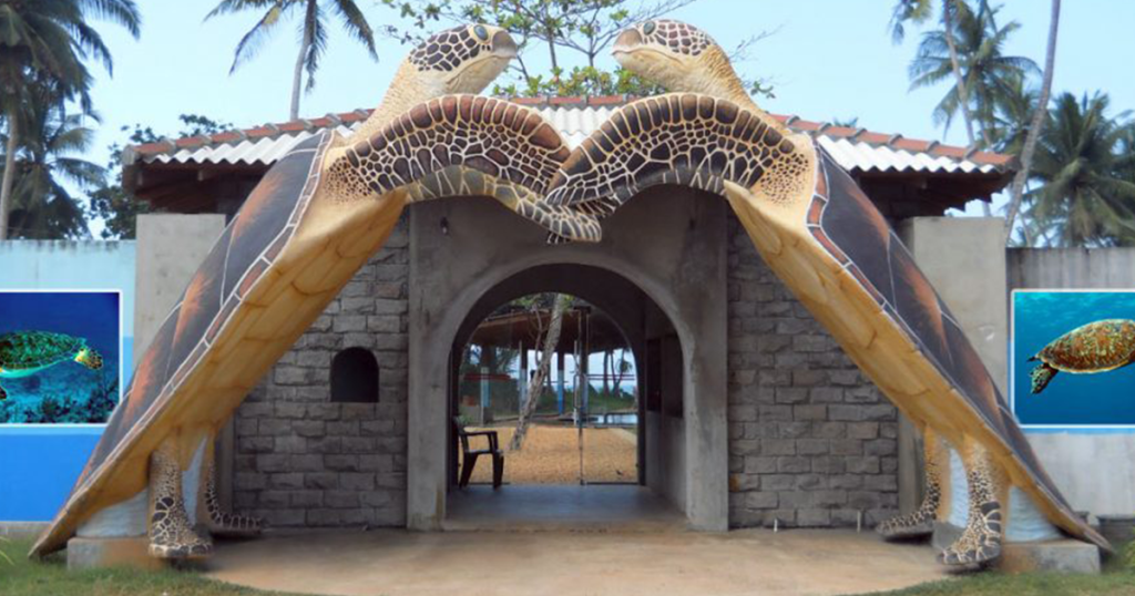 مرکز حفاظت از لاک‌پشت‌ها (Kosgoda Turtle Hatchery)