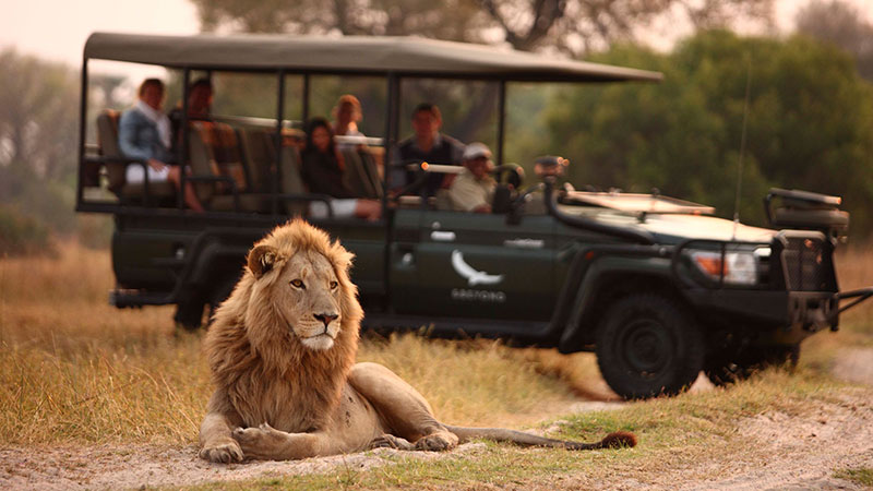 گیم ویویینگ | Game Viewing