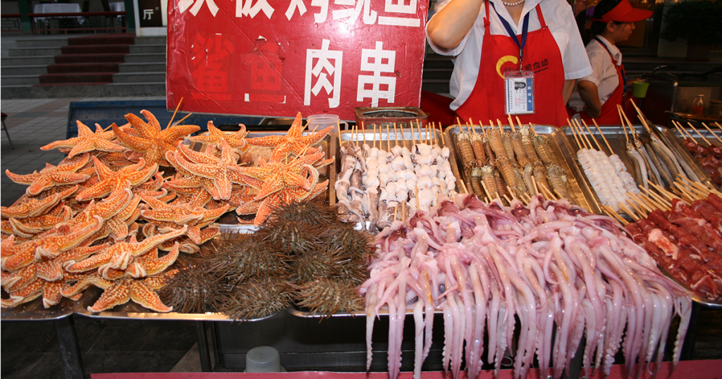 عکسی از عجیب‌ترین غذاهای چین، ستاره دریایی، 8پا، مار ماهی و چندین حیوان دریایی به سیخ کشیده شده‌ی دیگر
