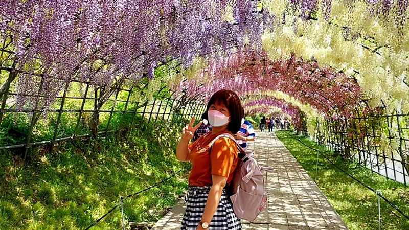 تونل گل ویستریا (Wisteria Flower Tunnel) در کیتاکوشو ژاپن