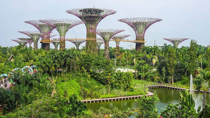 1- باغ گیاه شناسی سنگاپور / Singapore Botanical Gardens