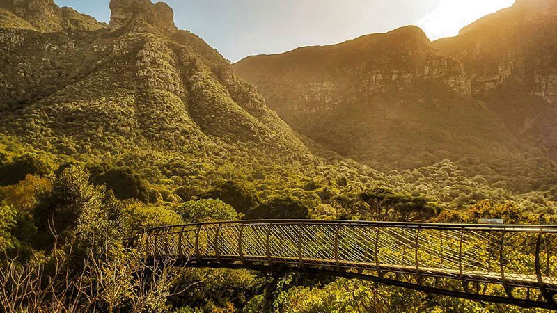 4- باغ گیاه شناسی ملی Kirstenbosch آفریقای جنوبی از باغ های معروف دنیا