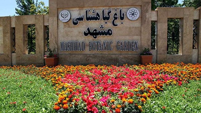 معرفی باغ گیاه شناسی مشهد