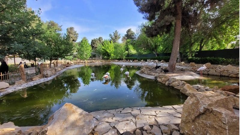 ویژگیهای منحصربهفرد باغ