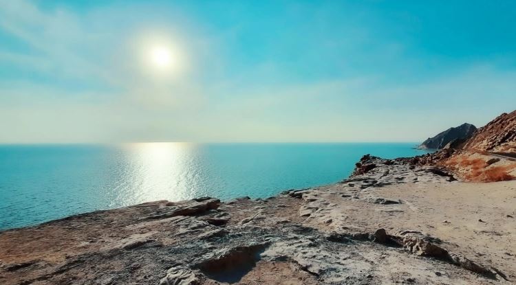 معرفی گر‌د‌نه عشاق