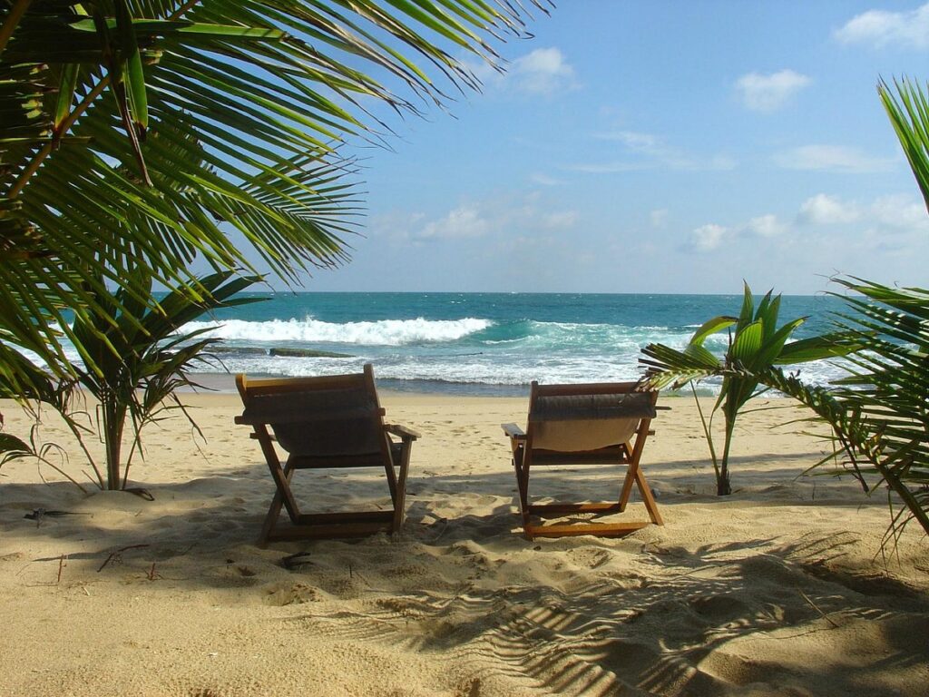ساحل مانگرو | Mangrove Beach