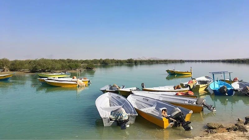 بهترین زمان بازدید از جنگل حرا