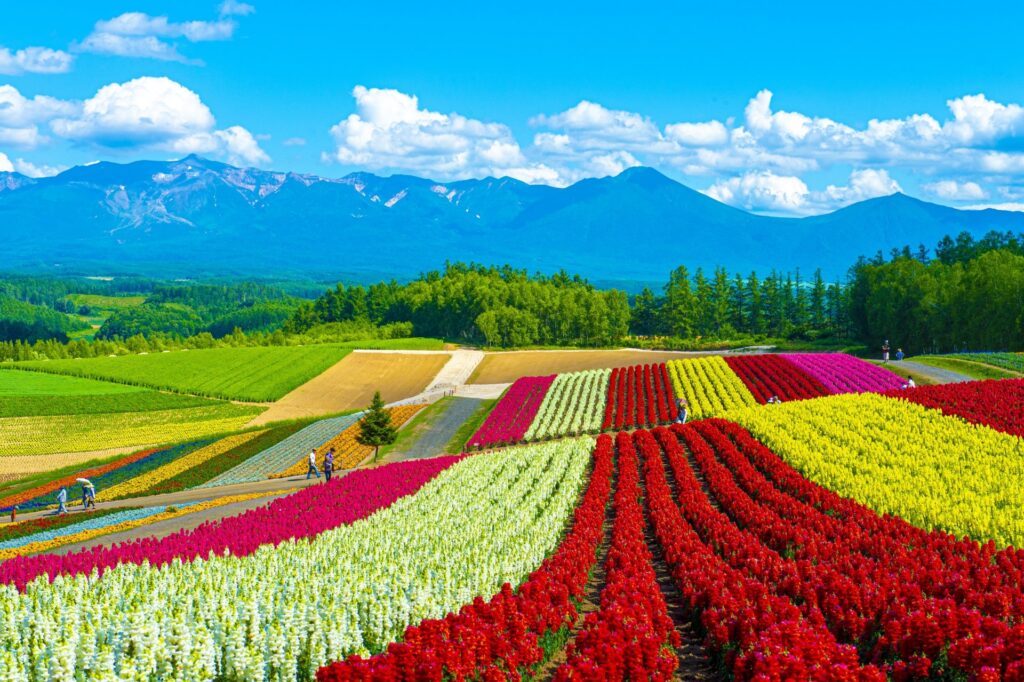هوکایدو / Hokkaido از زیباترین جزایر ژاپن