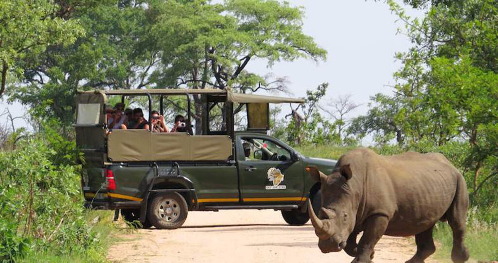 پارک ملی کروگر (Kruger National Park)