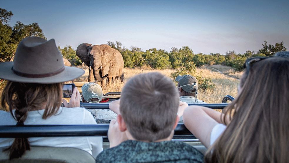 منطقه حفاظتشده شکار سابی سندز (Sabi Sands) از بهترین پارکهای ملی آفریقای جنوبی