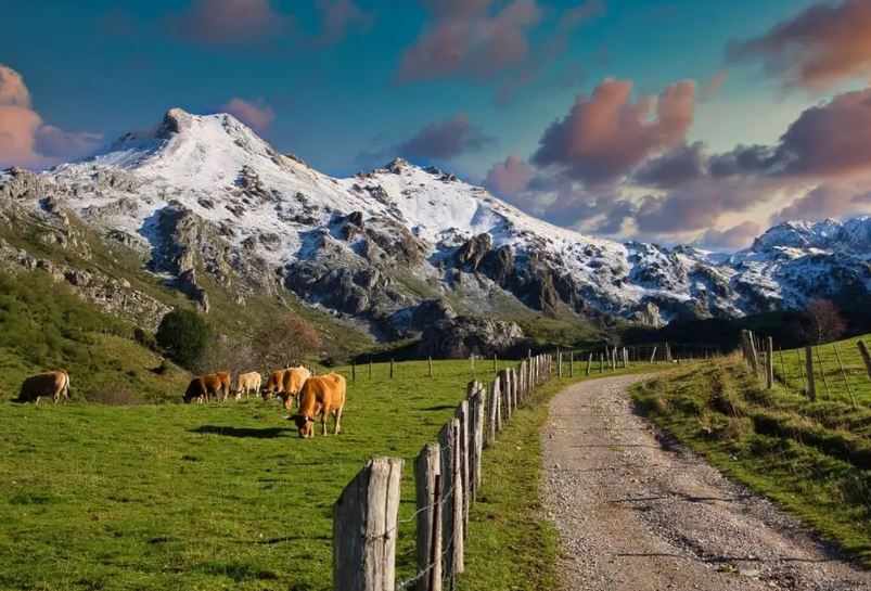 طبیعت کشور اسپانیا